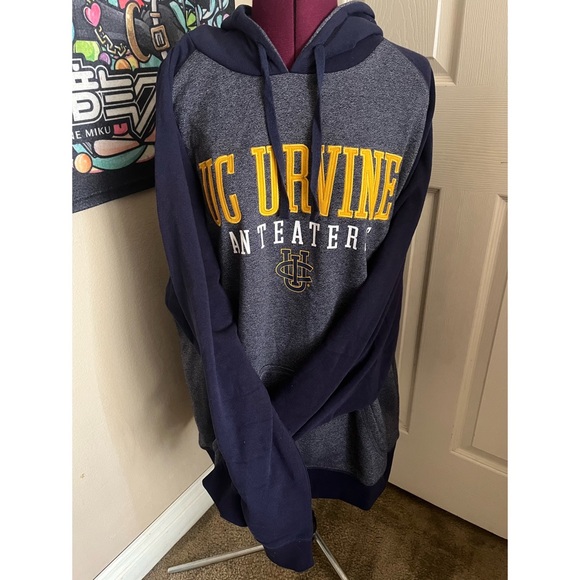 Champion Athleticwear UCI Hoodie - Picture 3 of 9